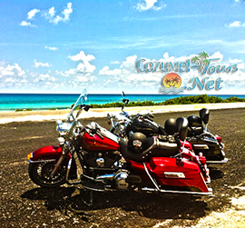 cozumel harley davidson rental for renting a harley in cozumel mexico